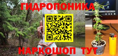 наркотики Кингисепп